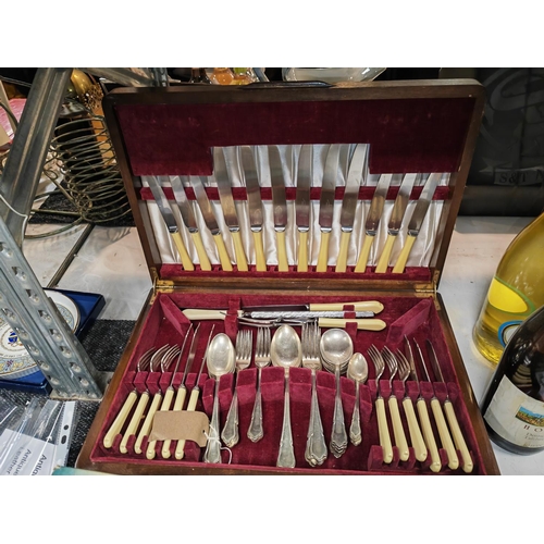 436 - Bone Handled Cutlery Set In Box