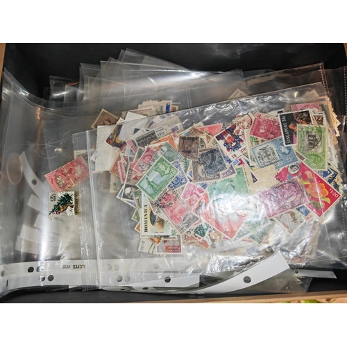 555 - Box Of World Stamps In Packets And Pages