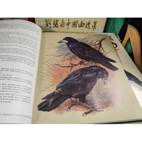 696 - 2 Illustrated Bird Books