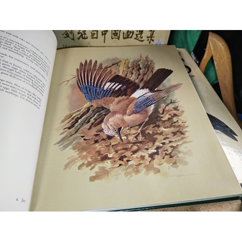 696 - 2 Illustrated Bird Books