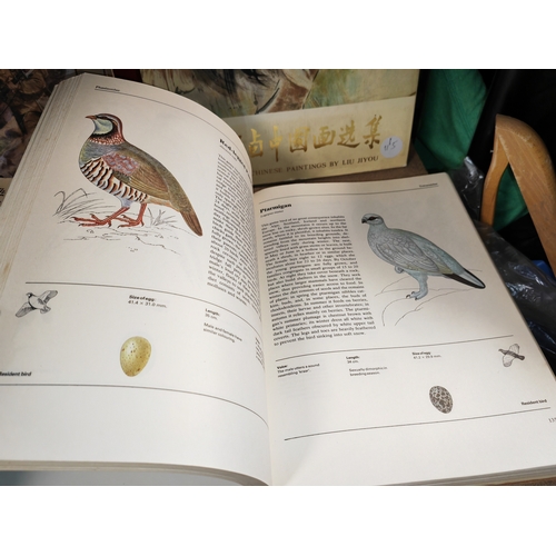 696 - 2 Illustrated Bird Books