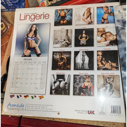 240 - 5 Calendars Including Victoria Francis, Madonna, Alchemy, Lingerie And Ann Stokes