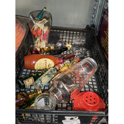 243 - Small Box Of Miniature Bottles Of Booze And Others Display Purposes Only