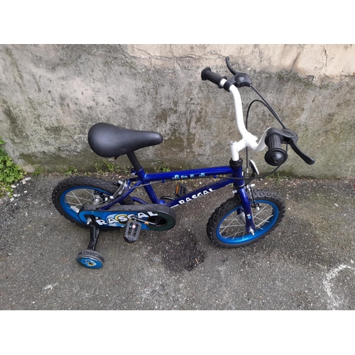 36 - Rascal Childs Push Bike