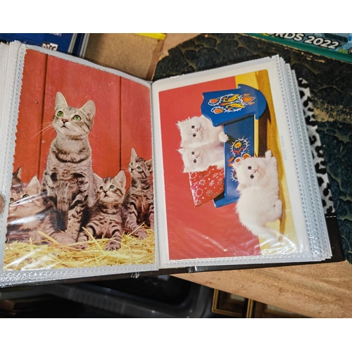 13 - Postcard Of Album Of Cats