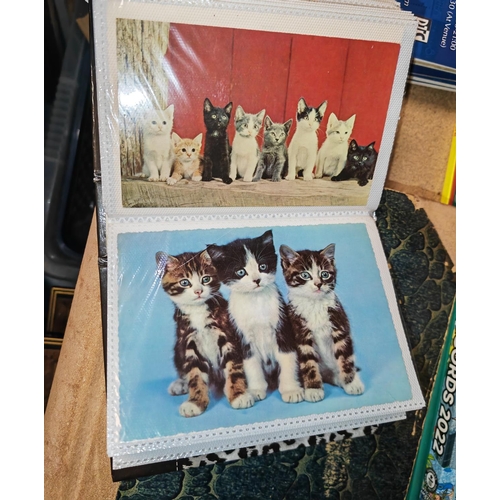 13 - Postcard Of Album Of Cats