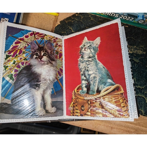 13 - Postcard Of Album Of Cats