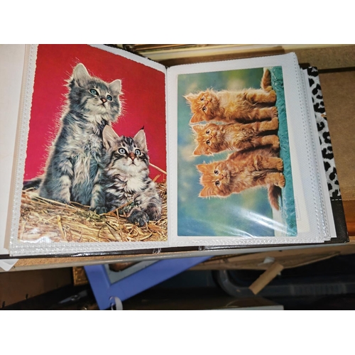 12 - Postcard Album Of Cats