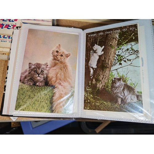 12 - Postcard Album Of Cats