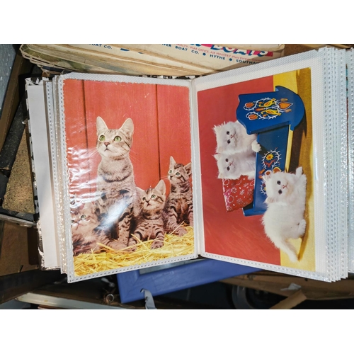 12 - Postcard Album Of Cats