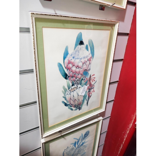 117 - 3 Small Framed Flower Prints