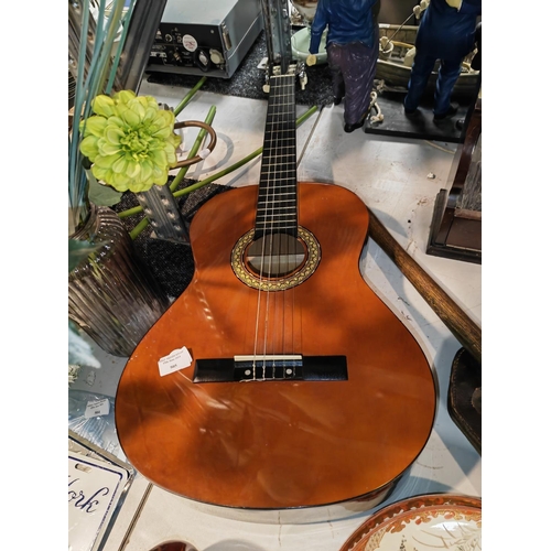 505 - Sheffield Accoustics Guitar