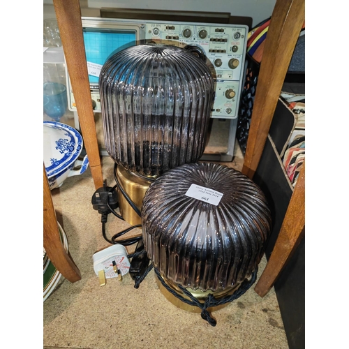 661 - 2 Glass Domed Lamps