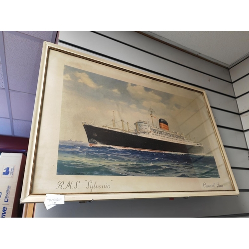 129 - Large Framed Print Of Rms Sylvania Cunard Line