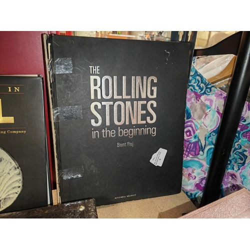 9 - Book On The Rolling Stones In The Beginning