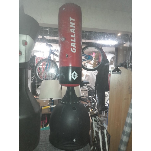Lot 54        