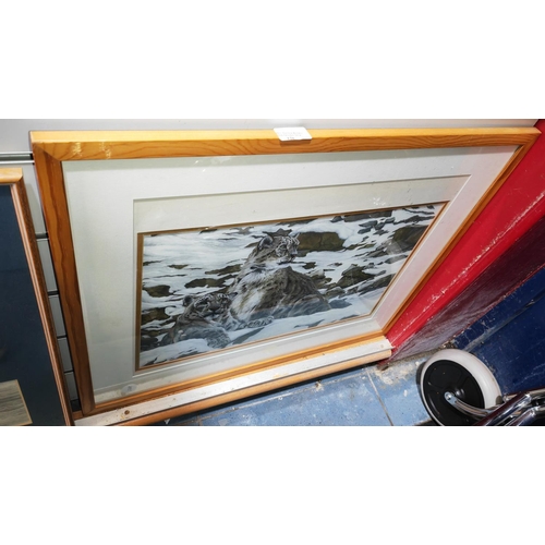 120 - Framed Print Of A Snow Leopard Family