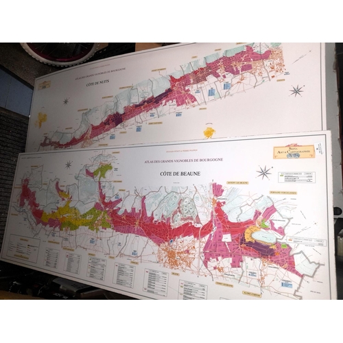 98 - 2 Large Survey Maps Of French Wine Vineyards