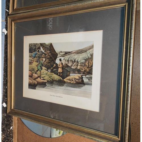 525 - 2 Framed Fishing Prints