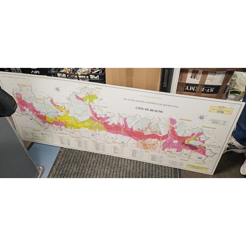 692 - 2 Large Survey Maps Of French Wine Vineyards