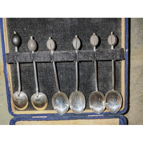 397 - 6 Silver Coffee Bean Spoons In A Box Bham 1923