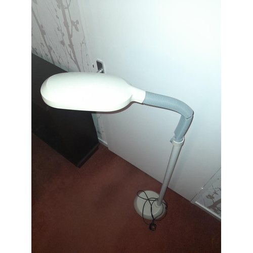 746 - Adjustable Floor Lamp Damaged