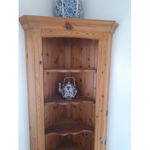 46 - Pine Corner Display Unit