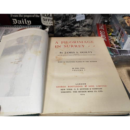 6 - A Pilgrimage In Surrey By James Ogilvy, 2 Volume Book Set, Routledge 1914, Lots Of Colour Plates, Li... 