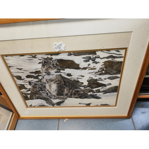 102 - Framed Print Of A Snow Leopard Family