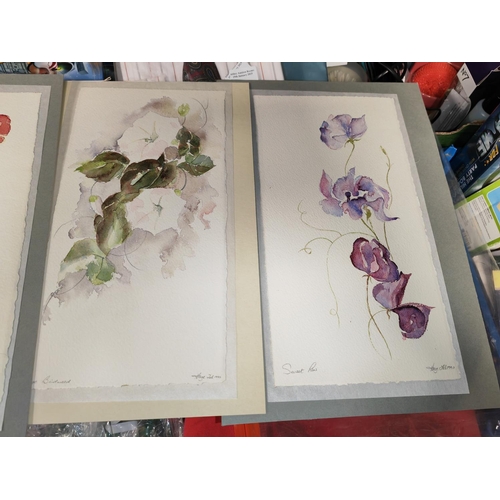 223 - 4 Signed Watercolour Unframed Flower Pictures