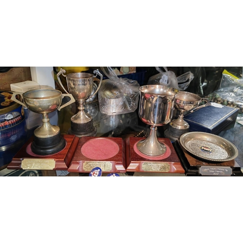 295 - Box With Silver Plated Trophies With Plynth'S Etc