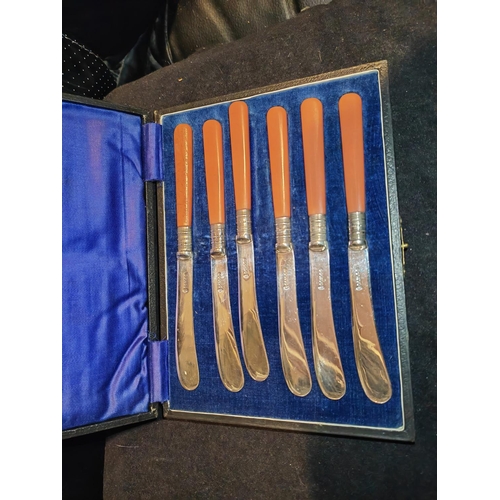 291 - Boxed Set Of Butter Knives