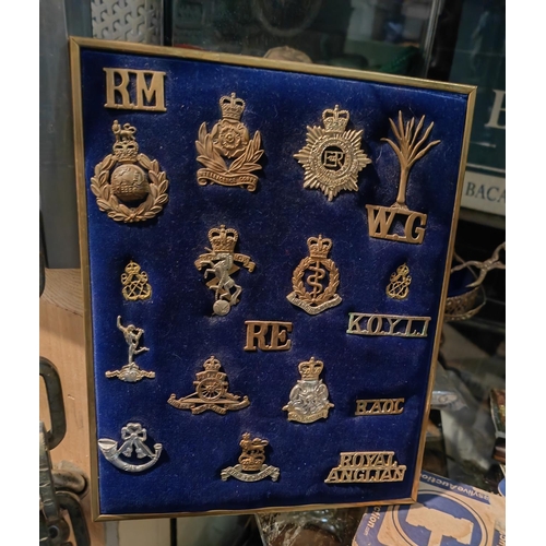 295 - Display Of Military Badges