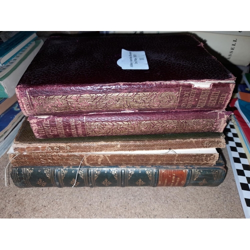 Lot 11        