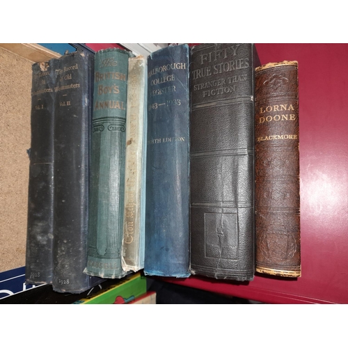 Lot 12        