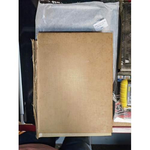 257 - Book Sandro Botticelli & Florentine Renaissance By Yukio Yashiro, 1929, Colour & Monochrome Illustra... 