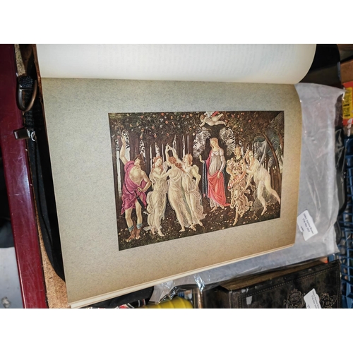 257 - Book Sandro Botticelli & Florentine Renaissance By Yukio Yashiro, 1929, Colour & Monochrome Illustra... 