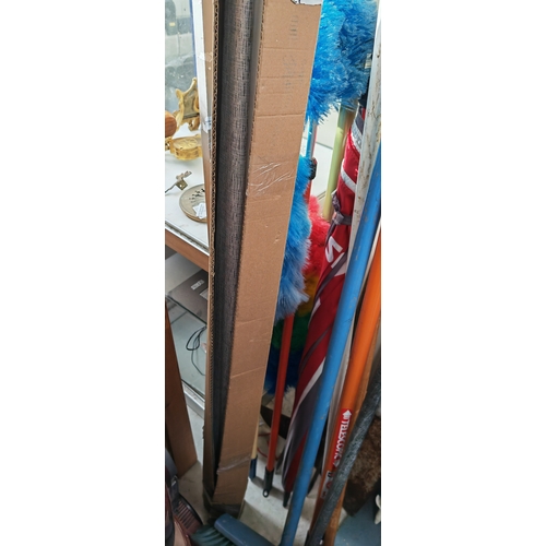 Lot 54        