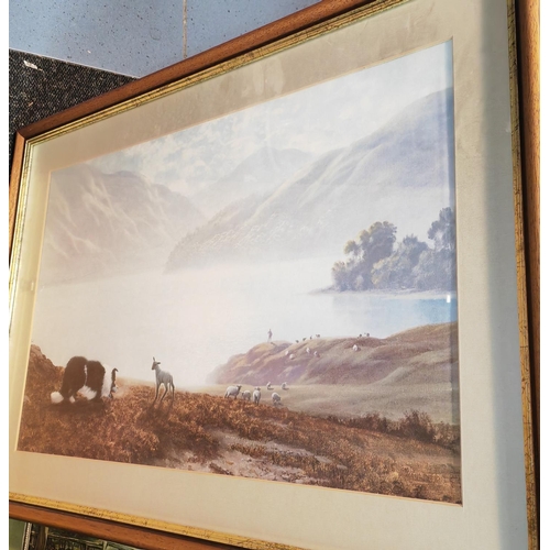 110 - Framed Farm Scene Print Of Dog Chasing Sheep