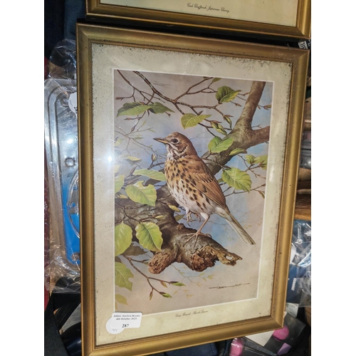 455 - 2 Framed Bird Prints