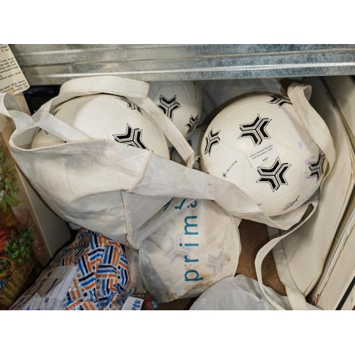 197 - Bag Of Kids Footballs