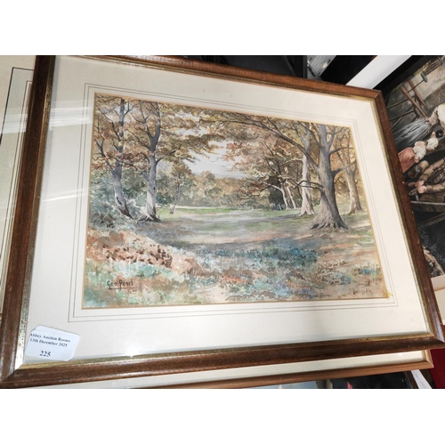 225 - Framed Signed Forest Watercolour By Geo Pearl 1926