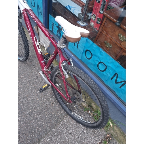 36 - Trek Alpha 4300 26