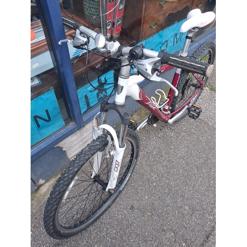 36 - Trek Alpha 4300 26