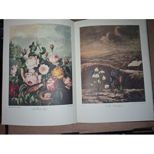 15 - Book Thorntons Temple Of Flora 1951 Edition Facsimile Reproduction, Flower Engravings, 12 Colour & 2... 