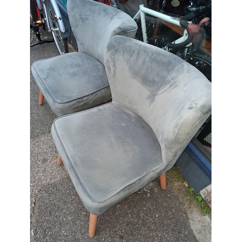 74 - 2 Grey Crushed Velvet Chairs