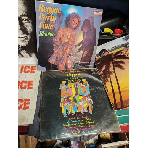 Reggae Vinyl Lp'S + Reggae Cd'S