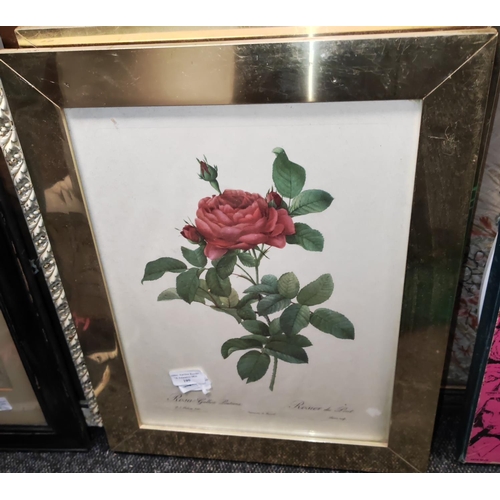 109 - 2 Framed Flower Prints