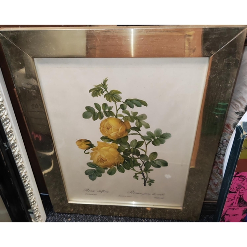 109 - 2 Framed Flower Prints