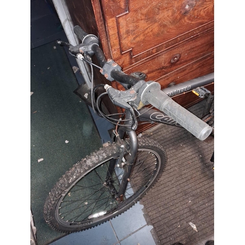 72 - Carrera Subway Mountain Bike